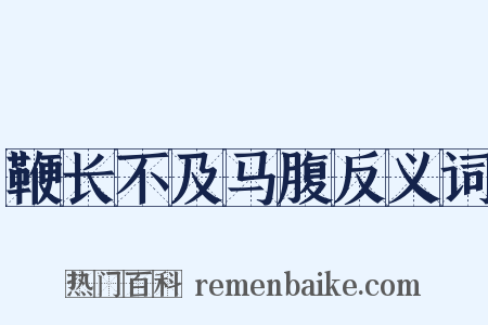 鞭长不及马腹反义词是什么意思的图片